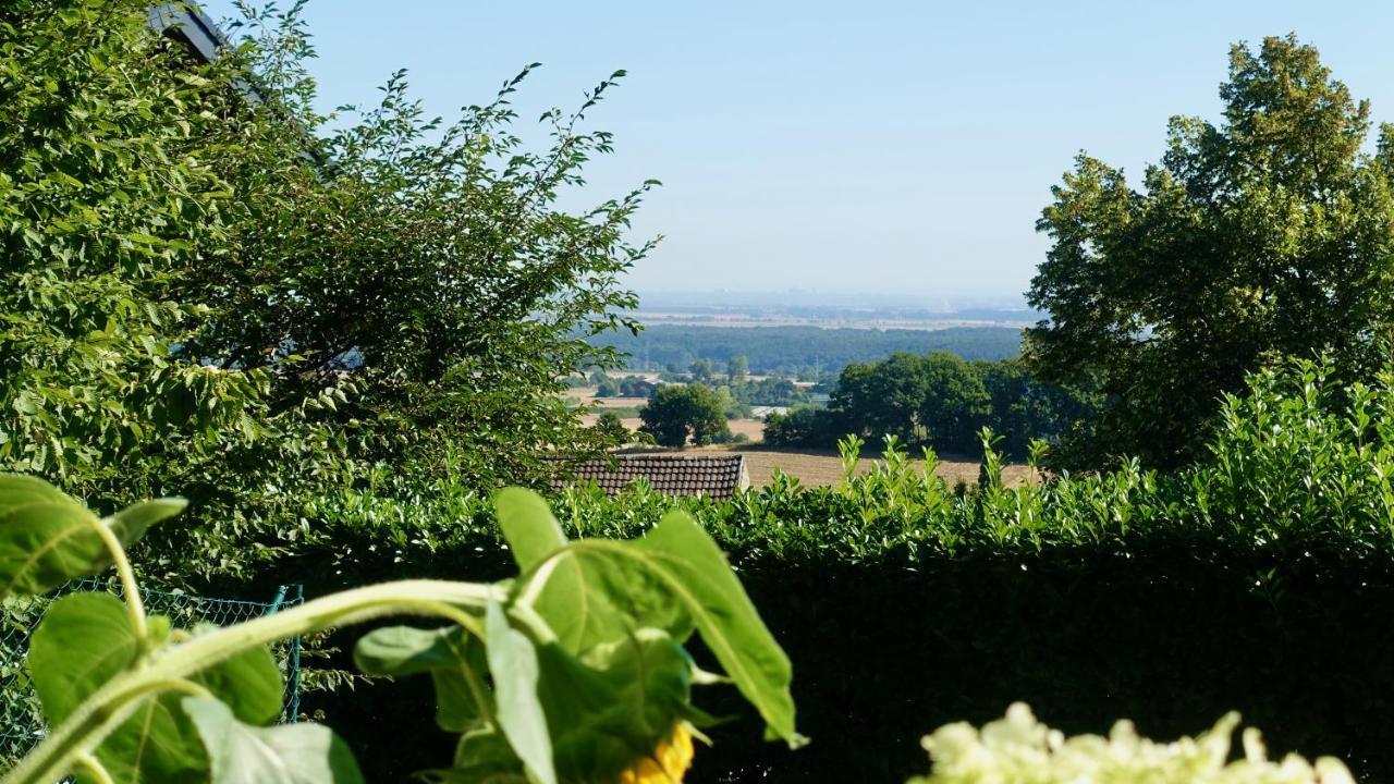 Schoene Aussicht Lägenhet Nideggen Exteriör bild